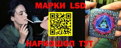 шишки Тверь