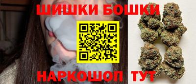 шишки Тверь