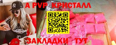 шишки Тверь