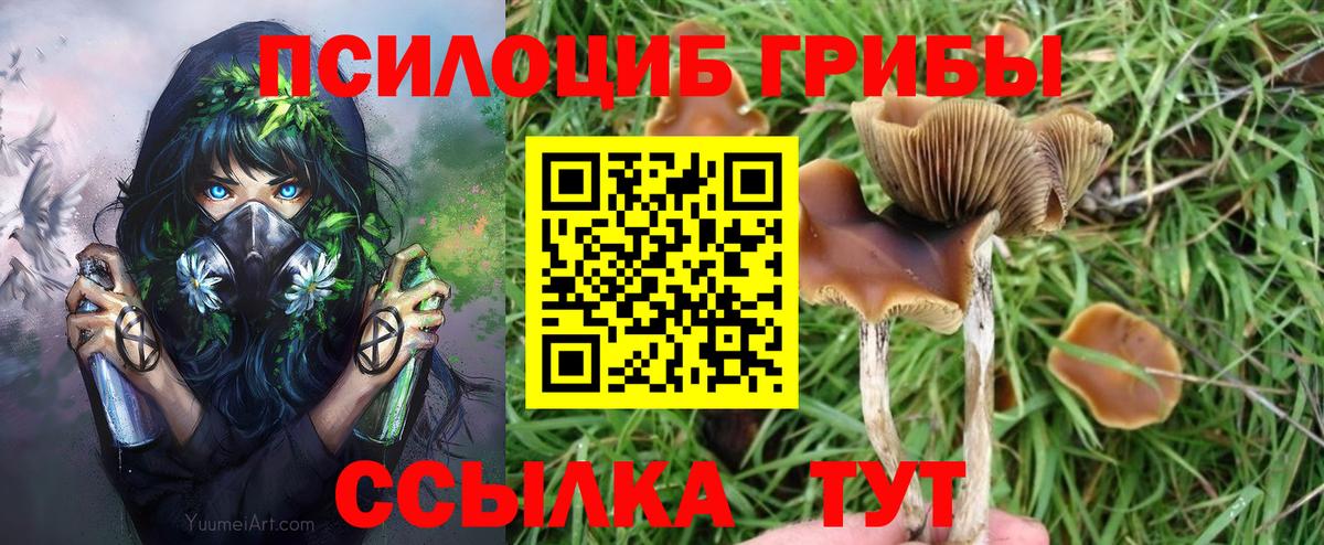 Галлюциногенные грибы GOLDEN TEACHER Воронеж